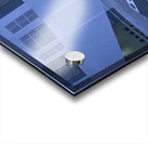 Monkey Acrylic print