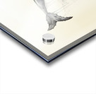 Drubbing Acrylic print