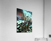 Solidity Acrylic Print