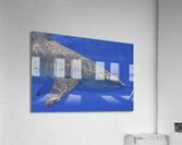 Circle Acrylic Print