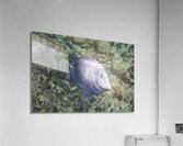 Burial Acrylic Print