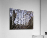 Fiber Acrylic Print
