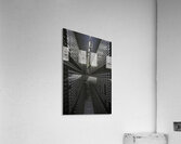 Constitution Acrylic Print