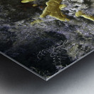 Copyright Metal print