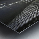 Constitution Metal print