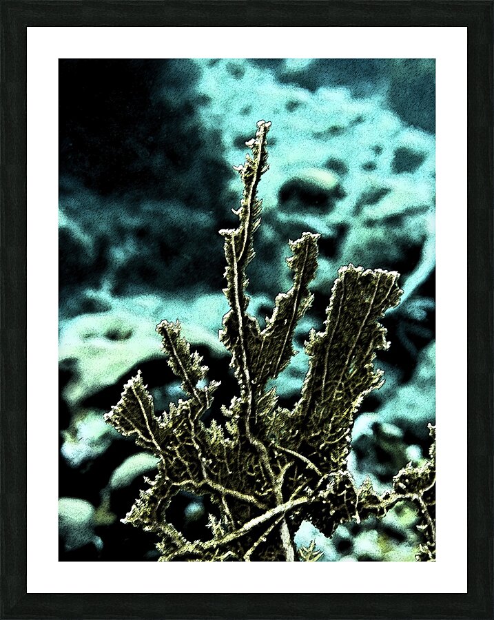 Solidity Picture Frame print