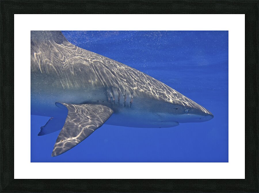 Circle Picture Frame print