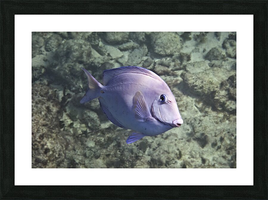 Burial Picture Frame print