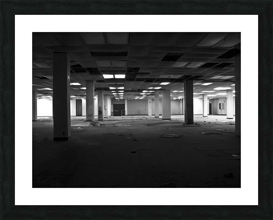 Vacant Picture Frame print