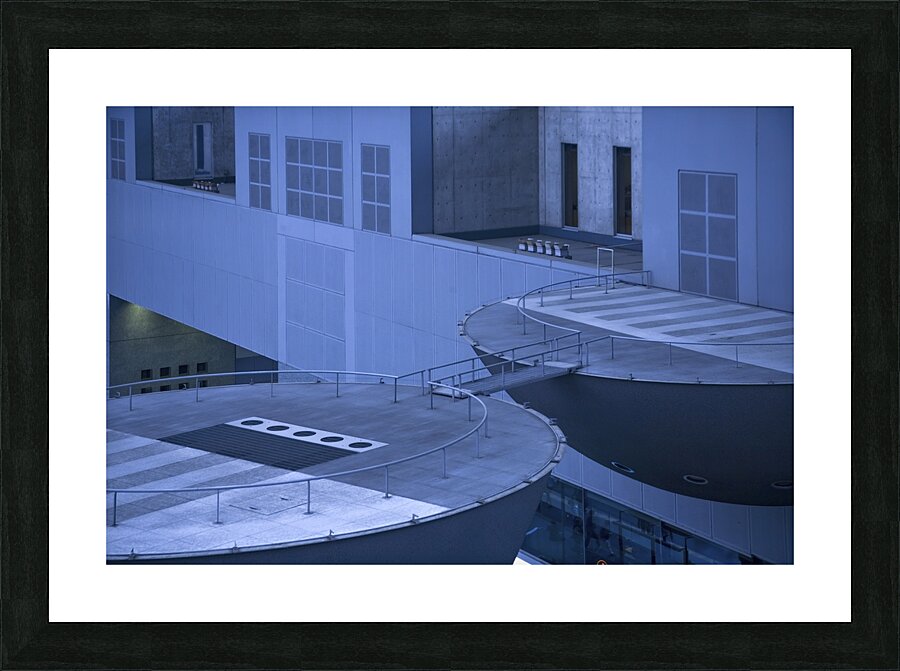 Monkey Picture Frame print