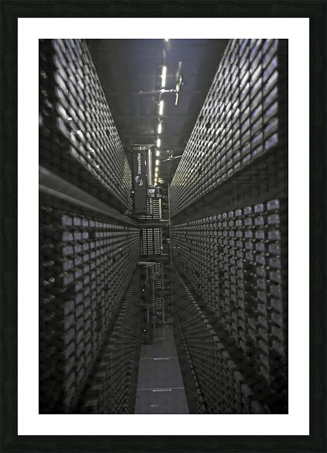 Constitution Picture Frame print