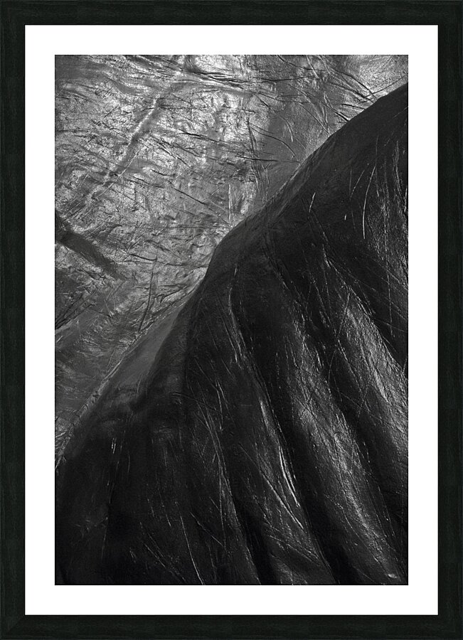 Palm Picture Frame print