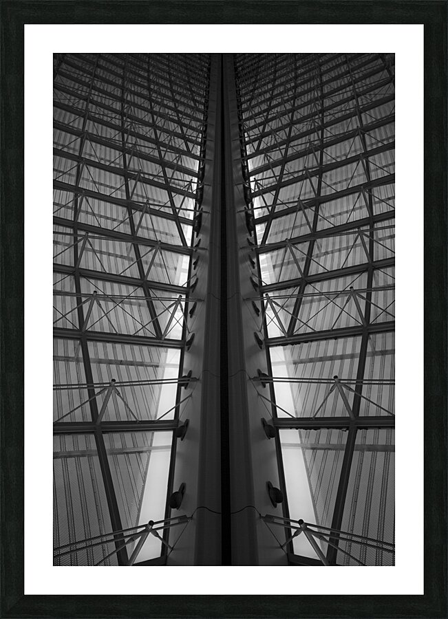 Wings Picture Frame print
