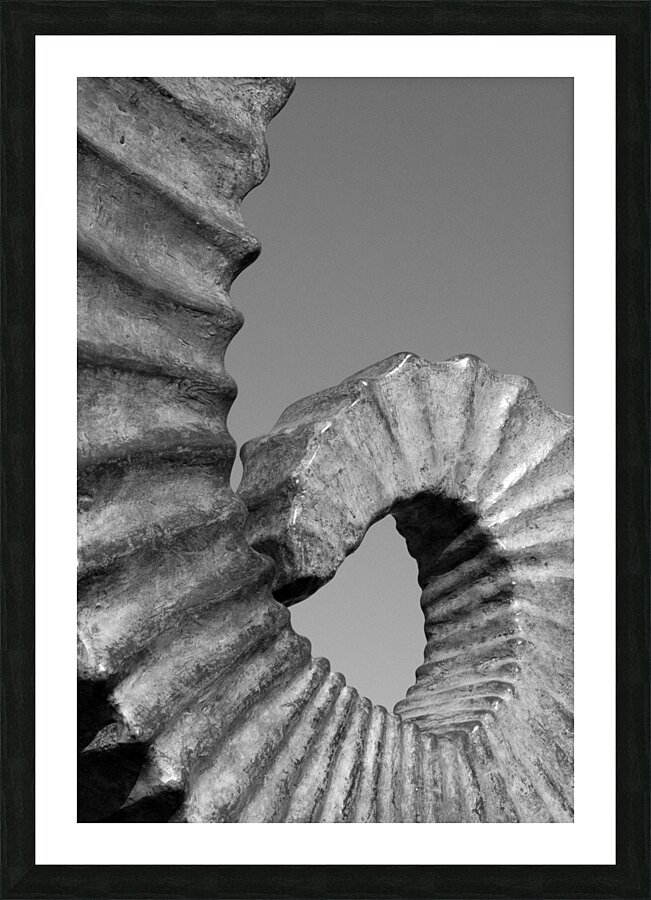 Curl Picture Frame print