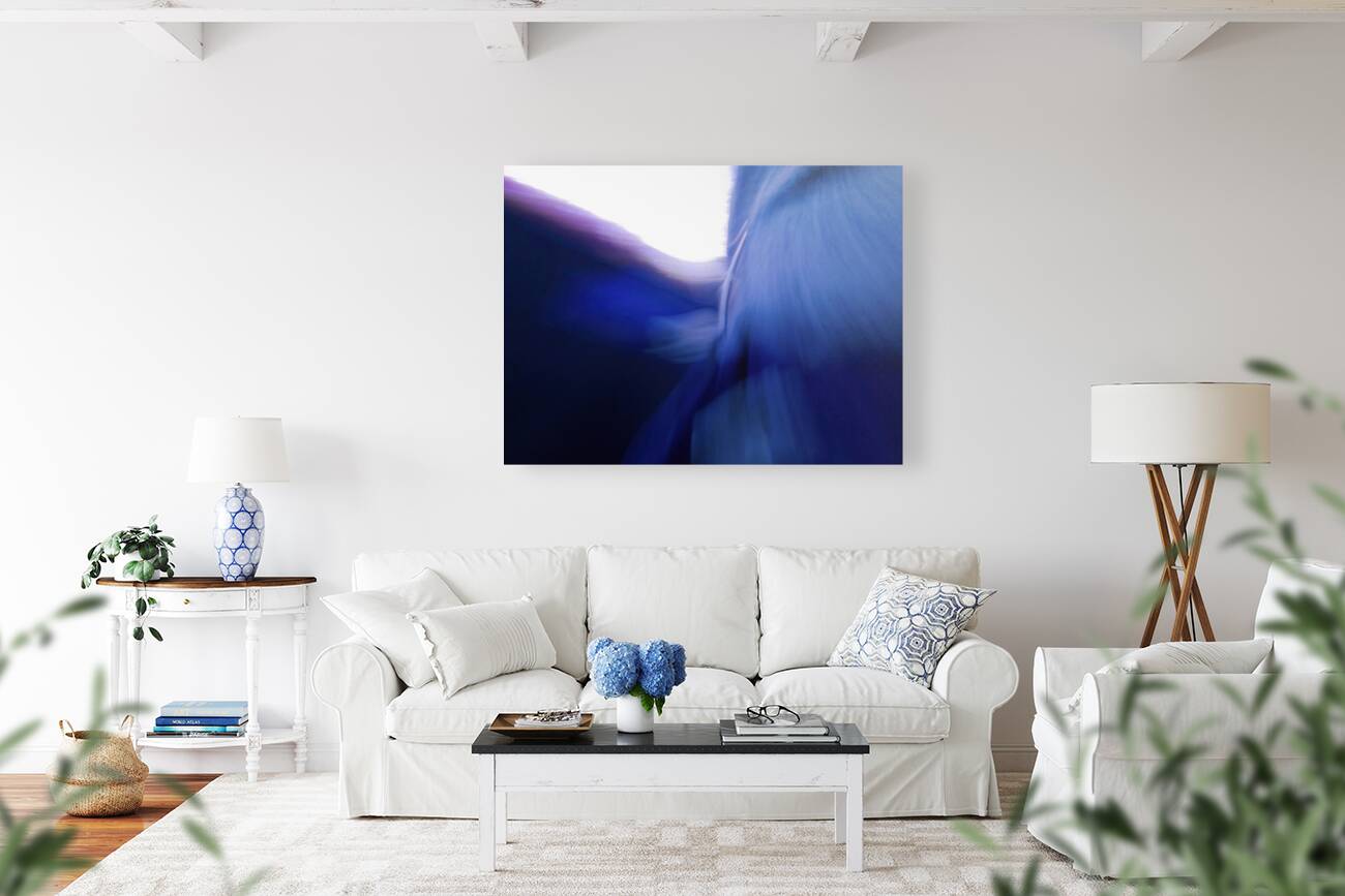 Accident Reproduction