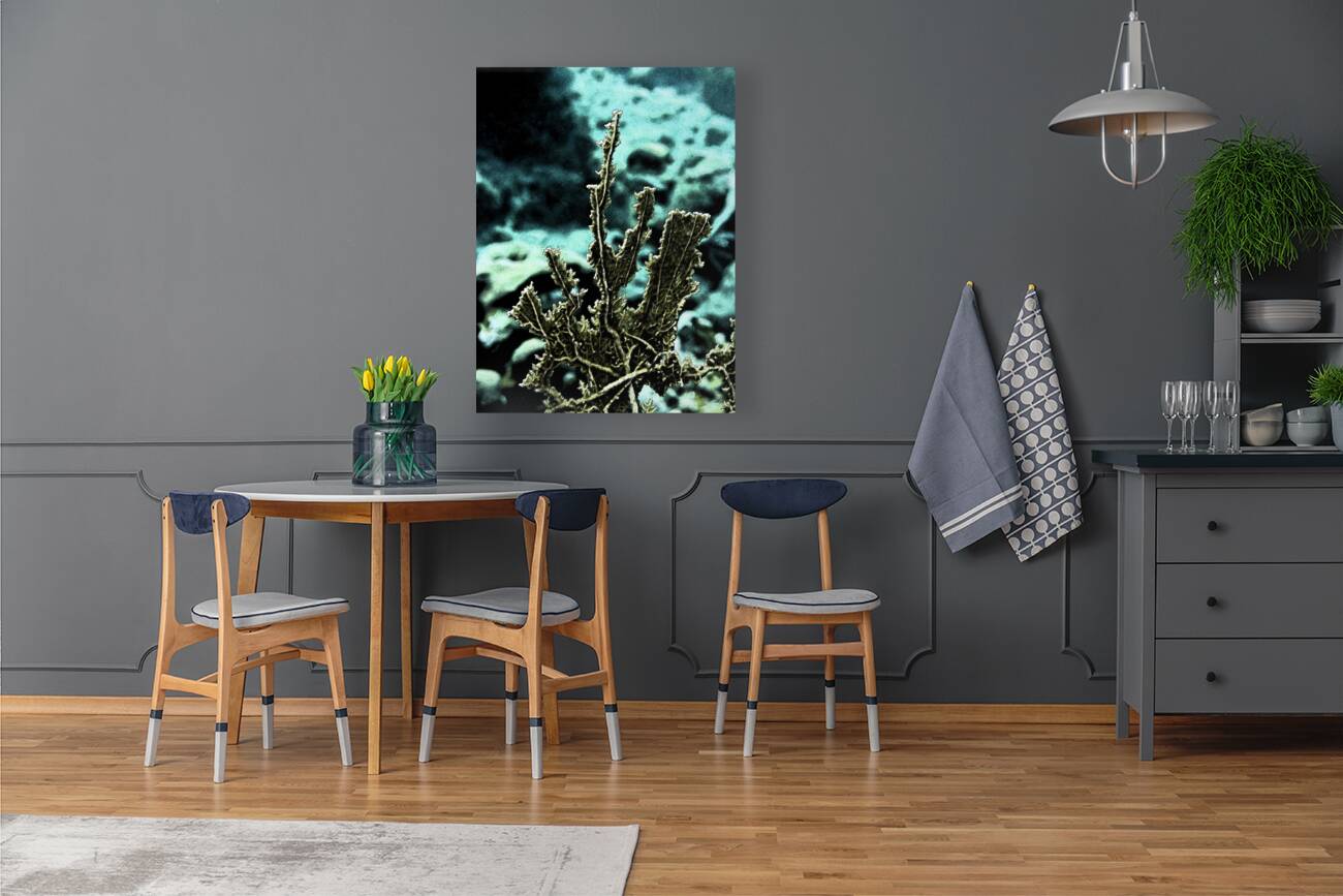 Solidity Reproduction