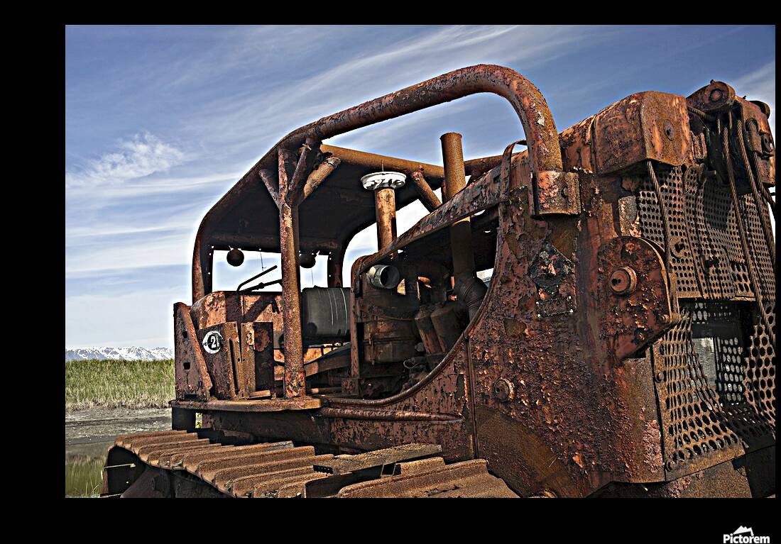 Retirement Reproduction