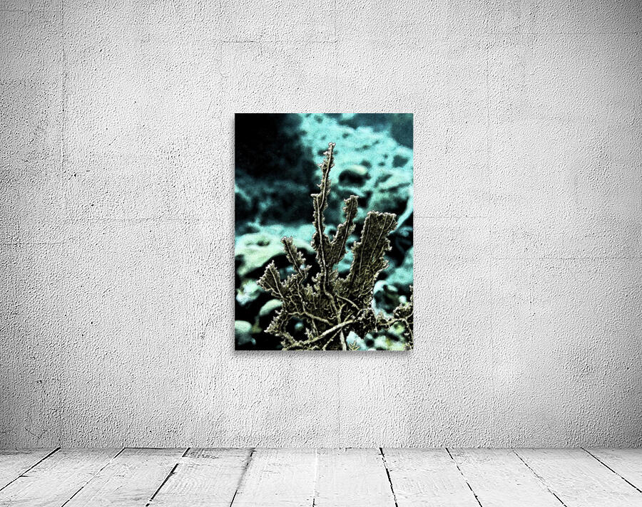 Solidity Wall Preview