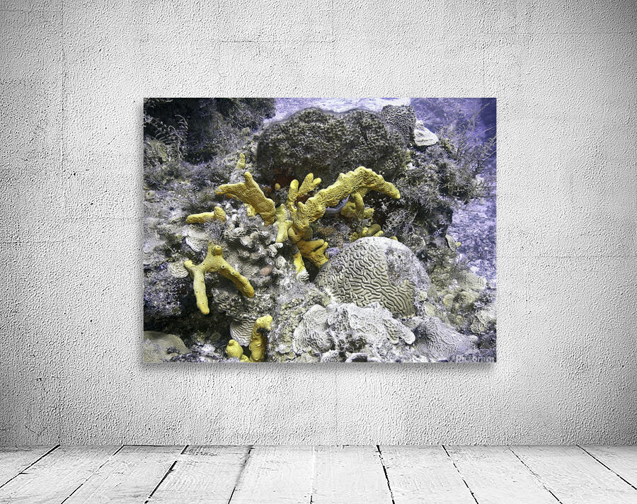 Copyright Wall Preview