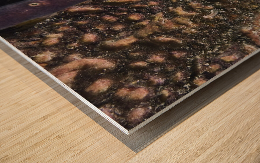 Protective Wood print