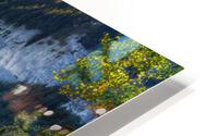 No 72 - Cap Bon Ami - Parc Forillon HD Metal print
