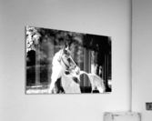 Curiosity Acrylic Print