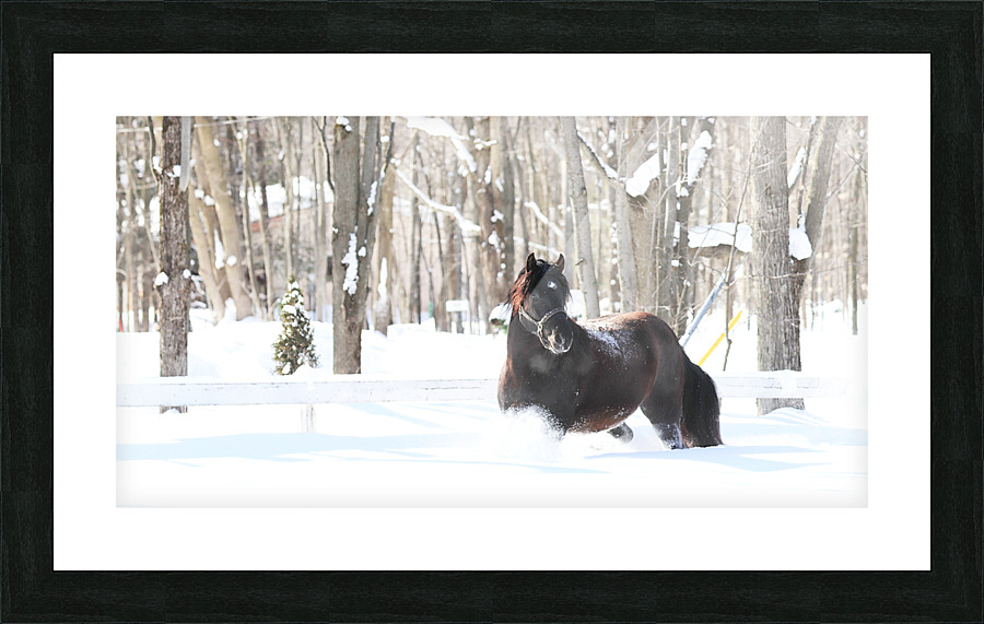  Fine Art print