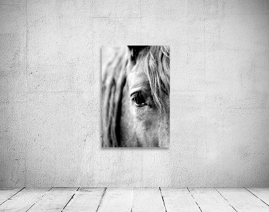 Reflections Wall Preview
