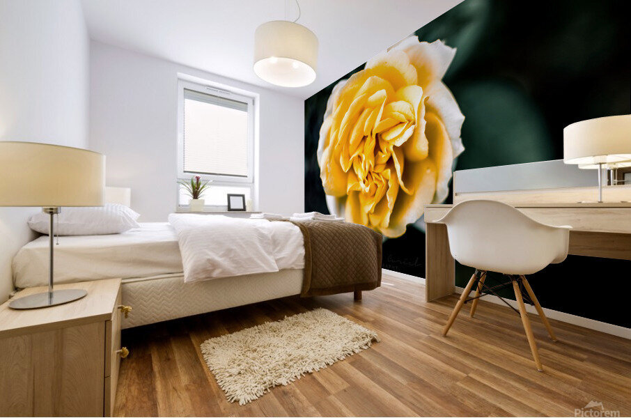 Tranquil Rose Mural print