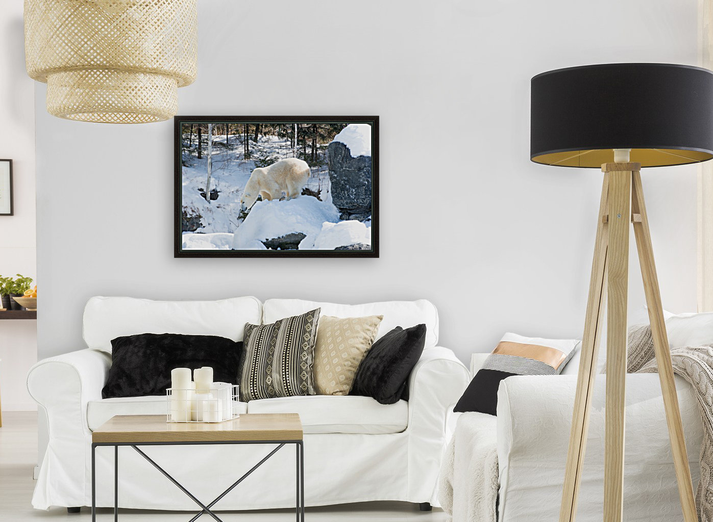 Ours Polaire Reproduction