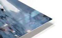 Ours Polaire HD Metal print