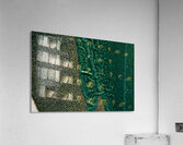 Alligator Bayou Acrylic Print