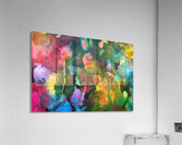 Barrier Reef 5 Acrylic Print
