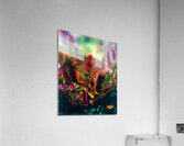 Mellow Cave Acrylic Print
