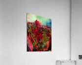 Mellow Trail Acrylic Print