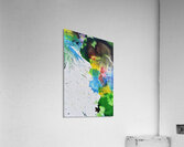 Luau 8 Acrylic Print