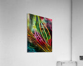Firefly Garden 3 Acrylic Print