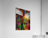 Dragon Fly 2 Acrylic Print