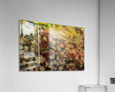 Ozone 2 Acrylic Print