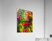 Hard Candy 1 Acrylic Print