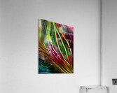 Seamoss Acrylic Print