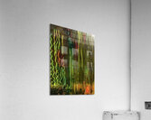 Seamoss 2 Acrylic Print