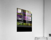 Seamoss Window Acrylic Print