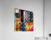 Tribe 8 Acrylic Print