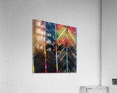 Tribe 3 Acrylic Print