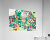Hana 1 Acrylic Print