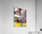 Orb Brown Acrylic Print