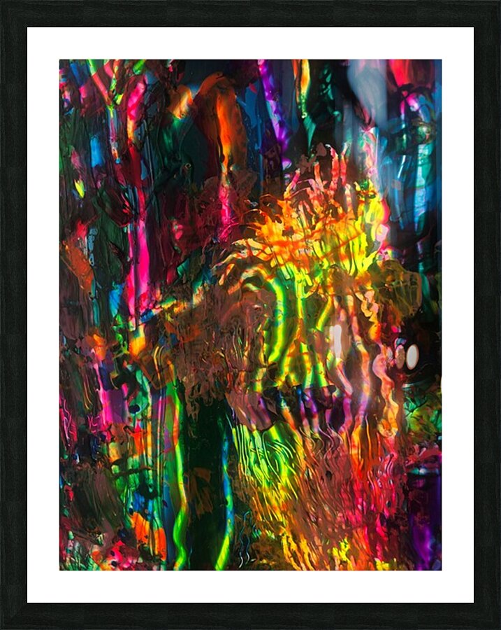 Dragon Fly 2 Picture Frame print