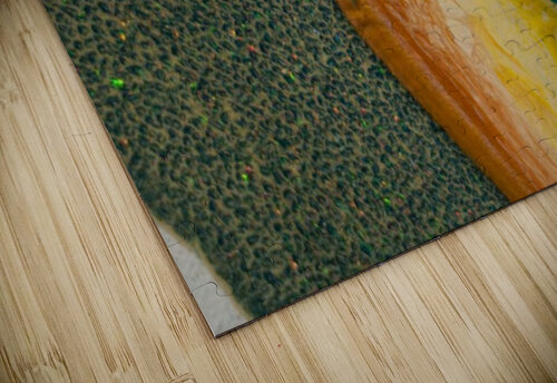 Alligator Point AL Morris puzzle