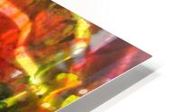 Berry Field HD Metal print